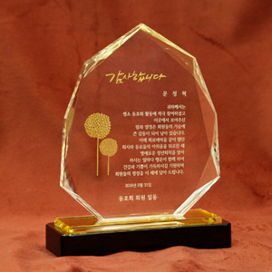 감사패 No.16 우측 이미지