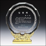 상패246